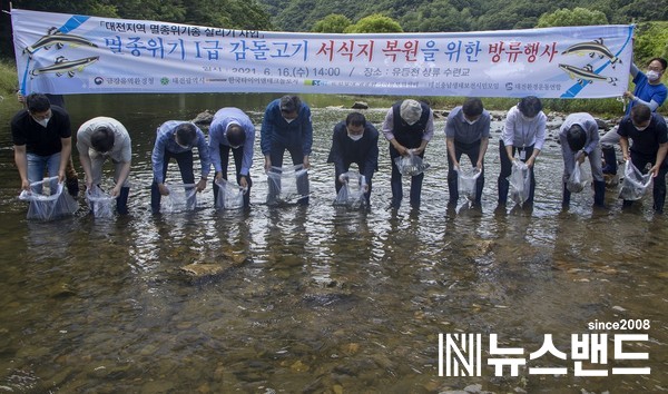 한국타이어 대전 유등천 멸종위기종 ‘감돌고기’ 방류 행사
