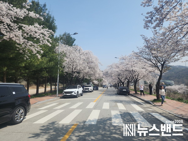 아산시, 아트밸리 아산 제2회 아산온천 벚꽃축제 여흥 이어져